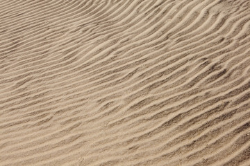 Sand ripples