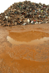 Rusty Puddle