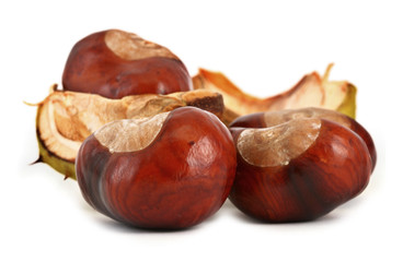 chestnuts on white #2