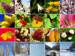 Four seasons