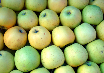apples