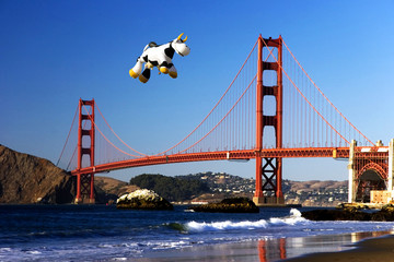 cow over the golden gate © Mariusz Blach