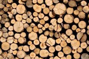 Möbelaufkleber chopped wood © kryptajuliett
