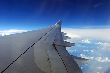 Fototapeta premium Volando