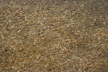 shells under water