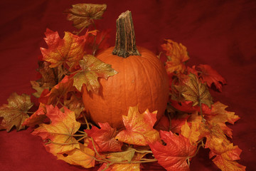 Naklejka na ściany i meble Autumn decorations
