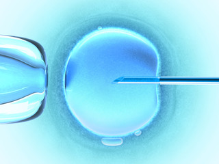 In vitro fecundation using sperm (cold color) - obrazy, fototapety, plakaty