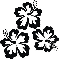 fleurs d& 39 hawaï