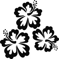 Cercles muraux Fleurs noir et blanc fleurs d& 39 hawaï