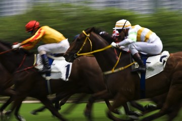 Horse Racing