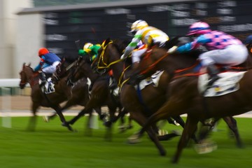 Horse Racing