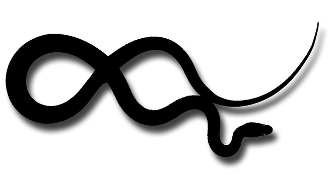 serpent noir ombre