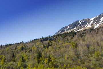 Obraz premium Alaskan wilderness