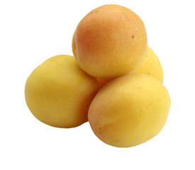 apricots