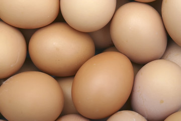 Eggs
