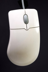 mouse on black