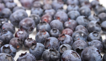 blueberries