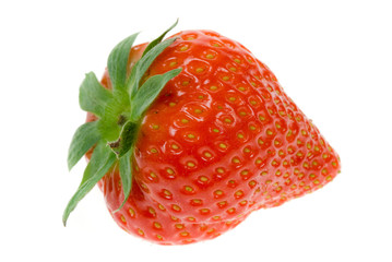 fresh strawberry