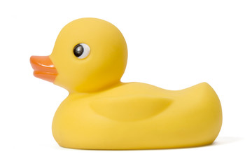 Rubber duck