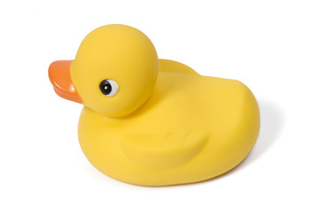 Rubber duck