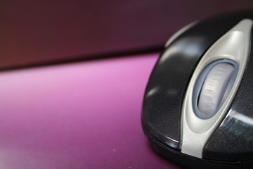 mouse