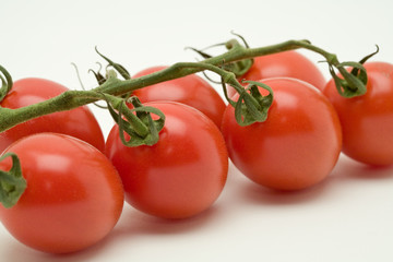 Vine tomatoes