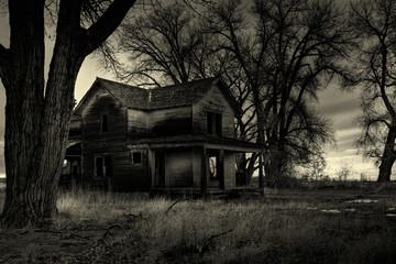 haunted house monochrome - 4783070