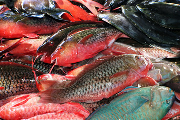Fresh fish on market.