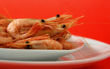fresh whole prawns