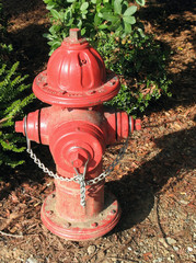 Red Fire Hydrant