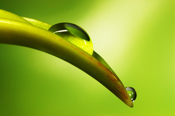rain-drops