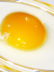 fried egg