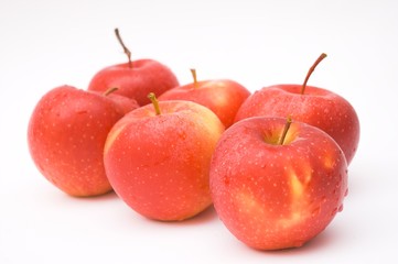 apples isolated