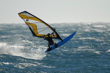 planche &agrave; voile