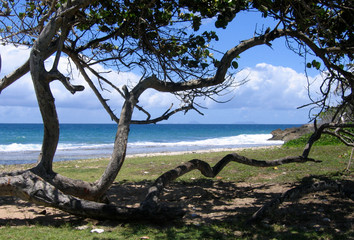 côte guadeloupéenne