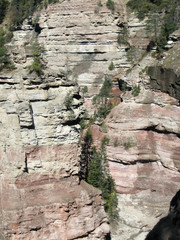 Hillside