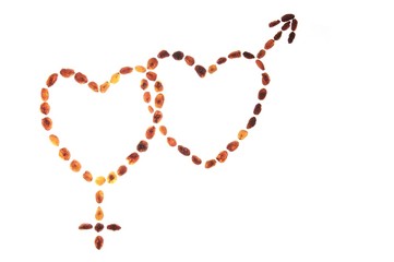 Naklejka premium raisins hearts with male and female signs