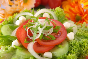 Fresh salad