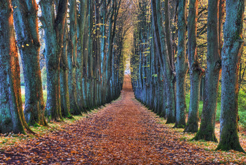 Bombergallee in Bad Pyrmont