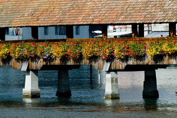 Flower Bridge