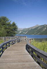 Fototapeta premium Coldwater lake raised wood walkway