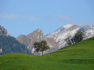Fototapeta na wymiar Zentralschweiz