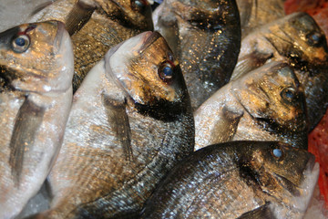 blauäugig