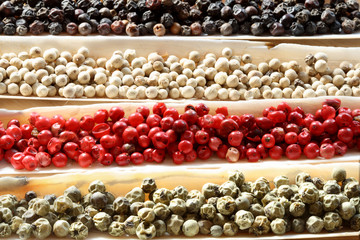 Peppercorns Spices in the sea shells