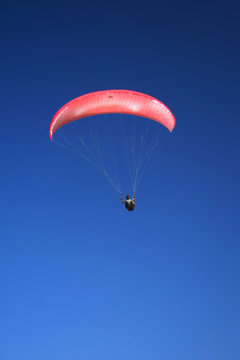 Pink paraglider on the sky