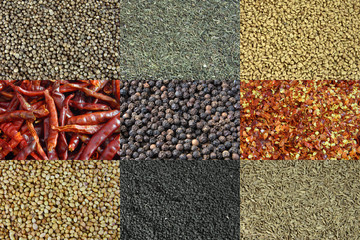 Backgrounds of Various kinds of spices