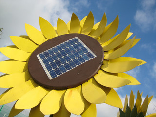Sonnenkollektoren in Sonnenblume
