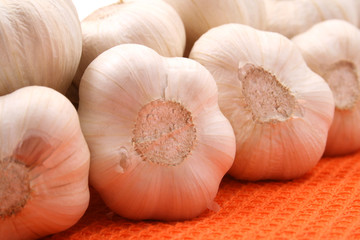 garlic