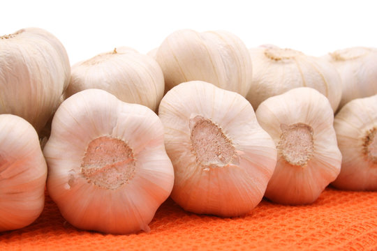 garlic
