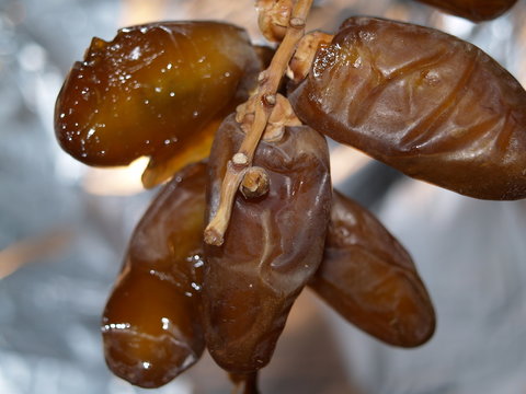 deglet...Algerie